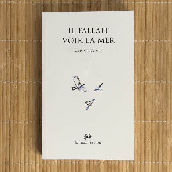 Il fallait voir la mer