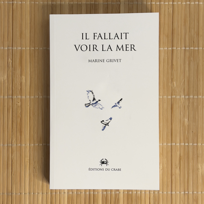 Couverture de Il fallait voir la mer de Marine Grivet